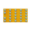 EPC2031 Image
